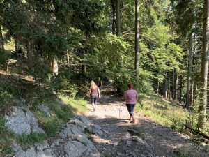Veilig wandelen in de Oostenrijkse bergen