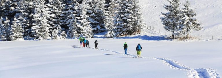 Sneeuwschoenwandelen