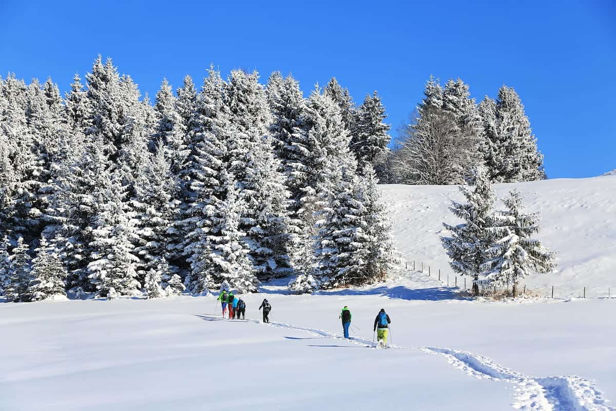 Winterwandelen in Innsbruck bever wintersport