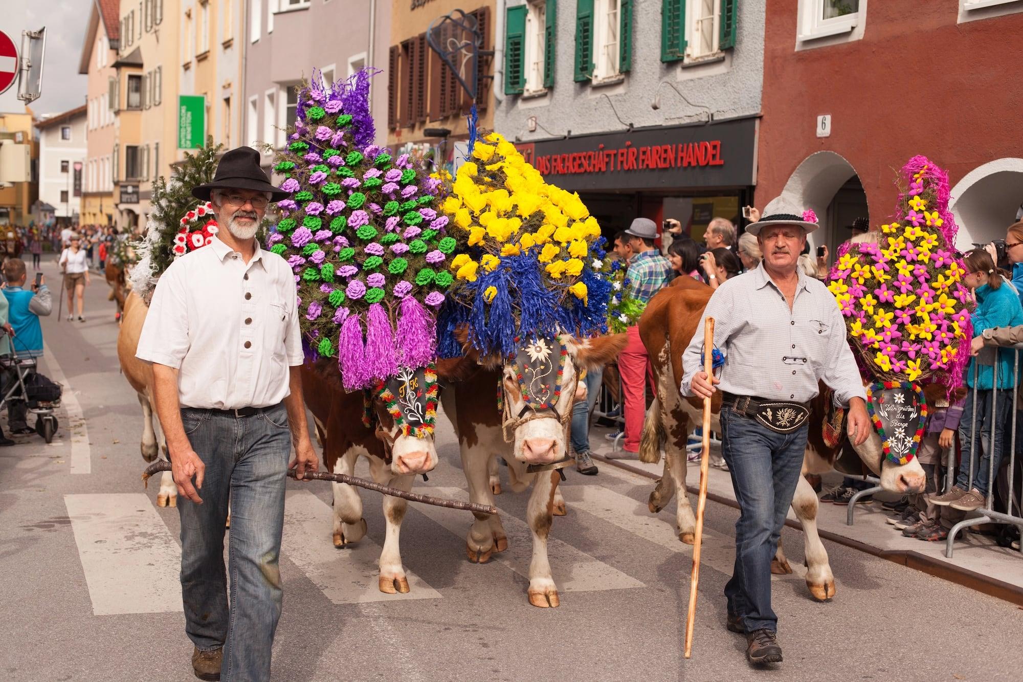 Almabtrieb in Oostenrijk