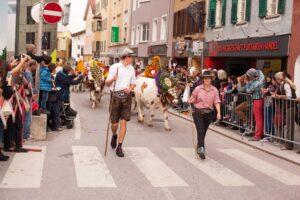Almabtrieb in Oostenrijk: traditie, tips en mooiste locaties