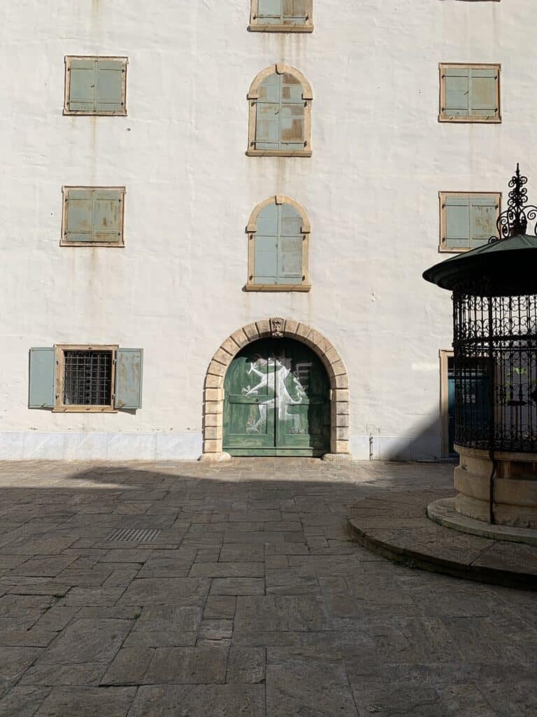 48-uur-in-graz-landhaus-steierische-panther