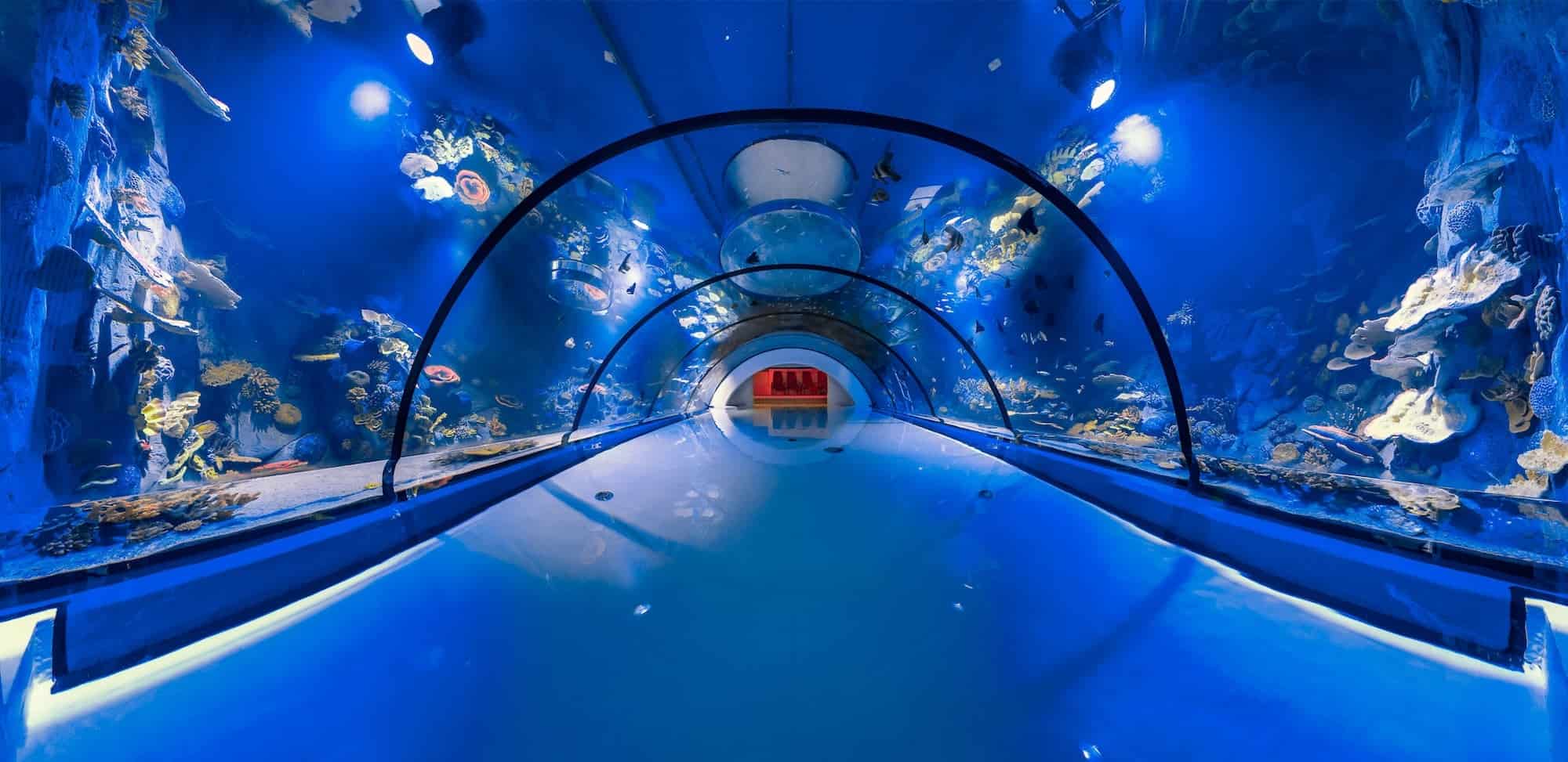 Alpentherme Aquarium (C) Alpentherme, Marktl Photography Alpentherme Bad Hofgastein - Aquarium tunnel