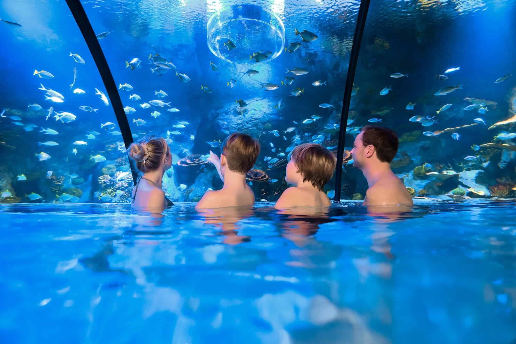 Alpentherme_Aquarium_(C)_Alpentherme_Gastein, MarktlPhotograph Alpentherme Bad Hofgastein- Family world