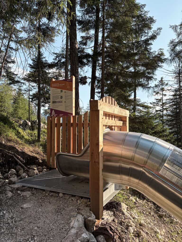 Waldrutschenpark Ehrwald: via zes glijbanen de berg af Waldrutschenpark Ehrwald: via zes glijbanen de berg af